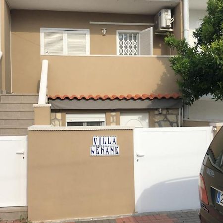لقنت Villanekane المظهر الخارجي الصورة